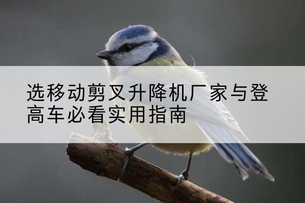 佛冈电动升降机厂家-选移动剪叉升降机厂家与登高车必看实用指南