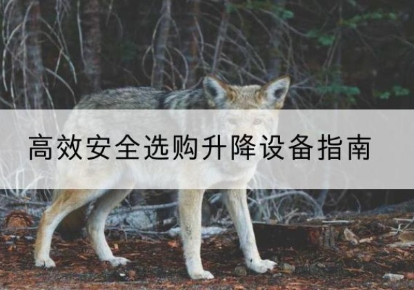 佛冈升降货梯厂家推荐-*安全选购升降设备指南